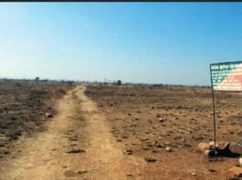 करोड़ों के प्लांटेशन उजड़े, मशीनों से हुआ काम, चोरी के खंडा-बोल्डरों से हुआ बाउंड्री निर्माण, विभागीय निरीक्षण, मूल्यांकन व सत्यापन पर लगे सवालिया निशान