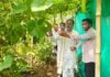 बसामन मामा गौवंश वन्य विहार में उप मुख्यमंत्री ने किया निरीक्षण, प्राकृतिक खेती और गोवंश सुविधाओं का लिया जायजा