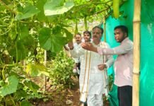 बसामन मामा गौवंश वन्य विहार में उप मुख्यमंत्री ने किया निरीक्षण, प्राकृतिक खेती और गोवंश सुविधाओं का लिया जायजा