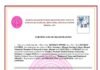 नर्सिंग रजिस्ट्रेशन सिस्टम की खुली पोल: गधे के नाम पर भी जारी हुआ सर्टिफिकेट — NSUI